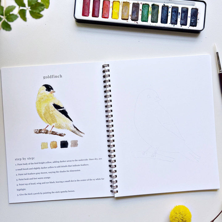 Emily Lex Studio- Birds Watercolor Workbook - Pine & Moss