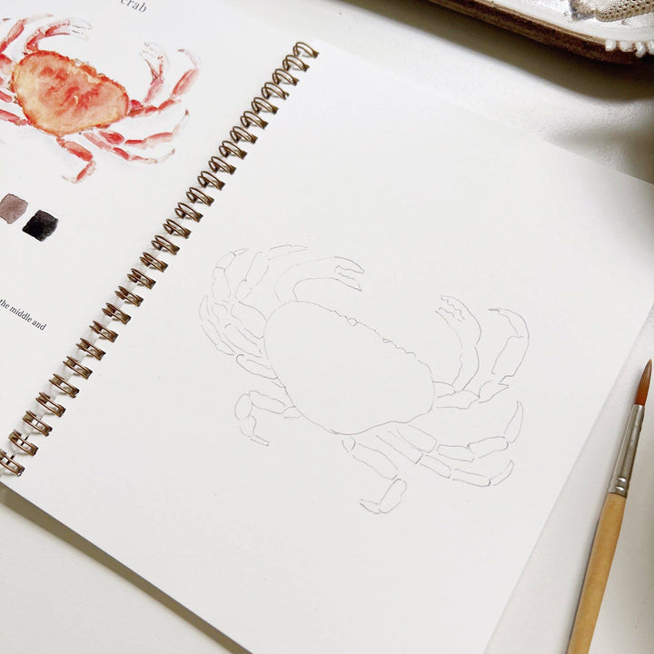 Emily Lex Studios- Seaside Watercolor Workbook - Pine & Moss