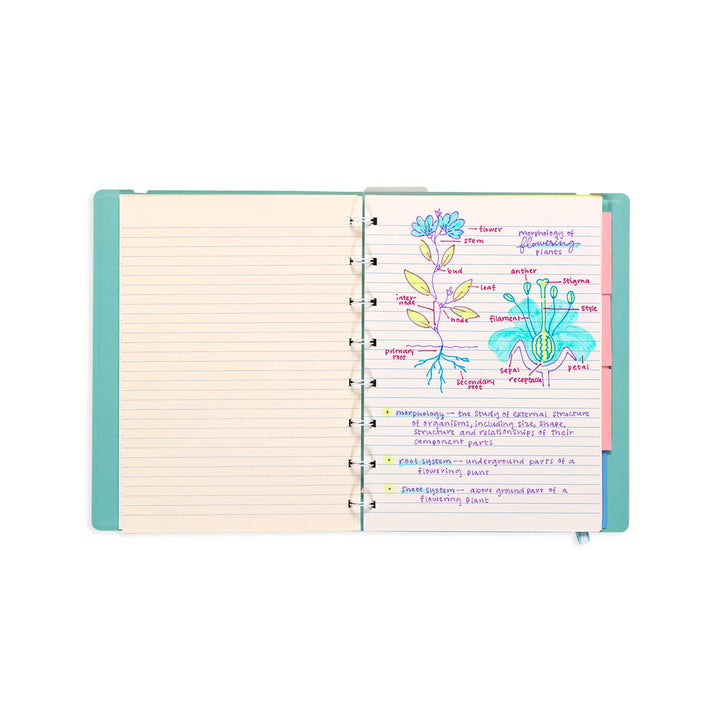Writer's Duo Double-Ended Fountain Pens + Highlighters - Pine & Moss