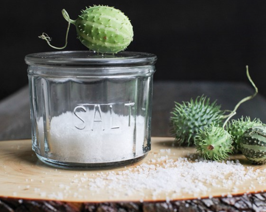 SALT CELLAR - Pine & Moss