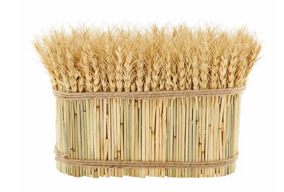 Long Preserved Wheat Bundle - Pine & Moss