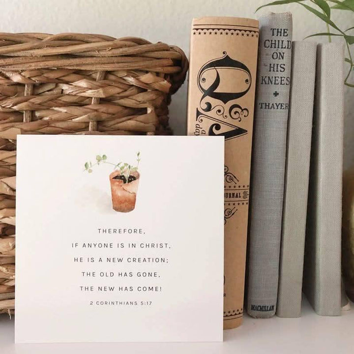 Emily Lex- Truth for Today Cards