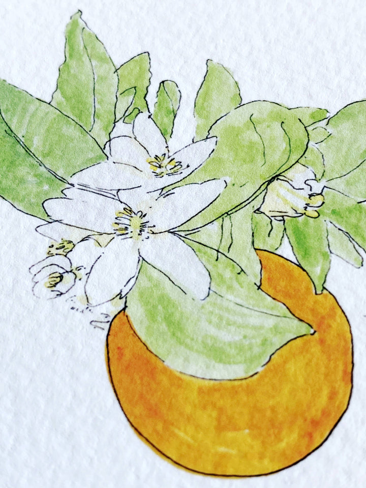 Florida State Flower Map - ART PRINT  : Watercolor / 8" x 10"