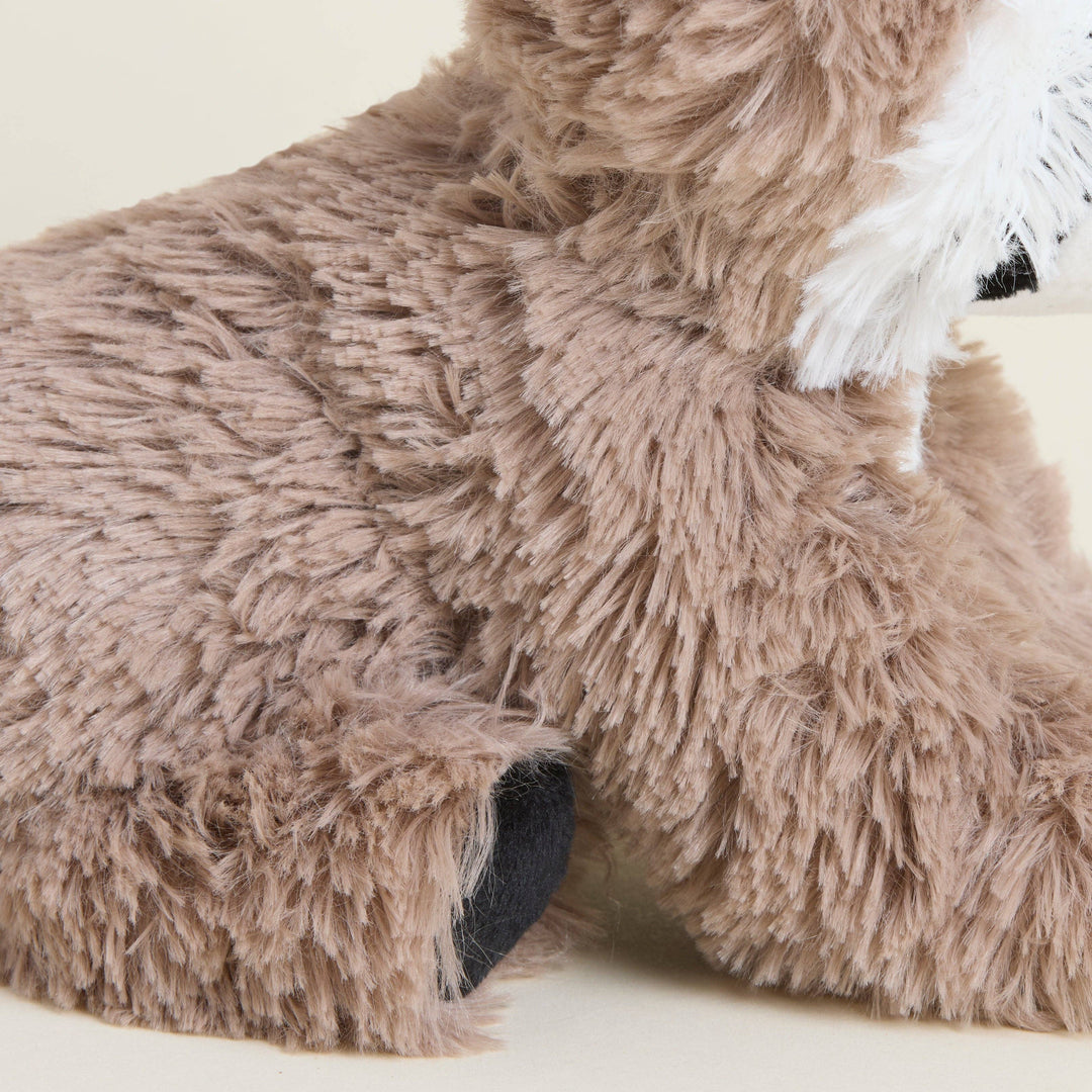 Raccoon Warmies Junior