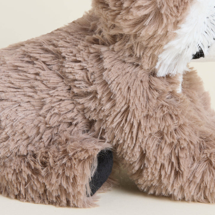 Raccoon Warmies Junior