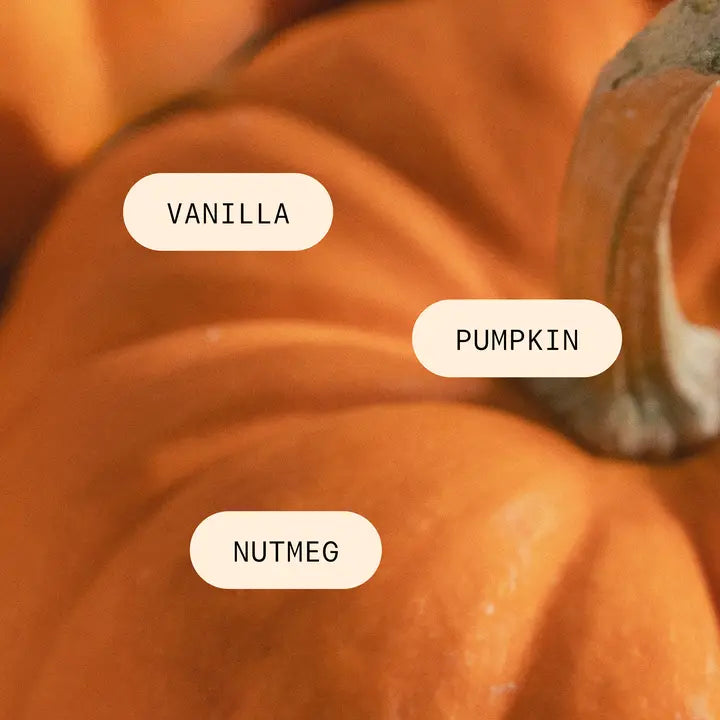 Pura Home Diffuser Scent Refill- Pumpkin Spice