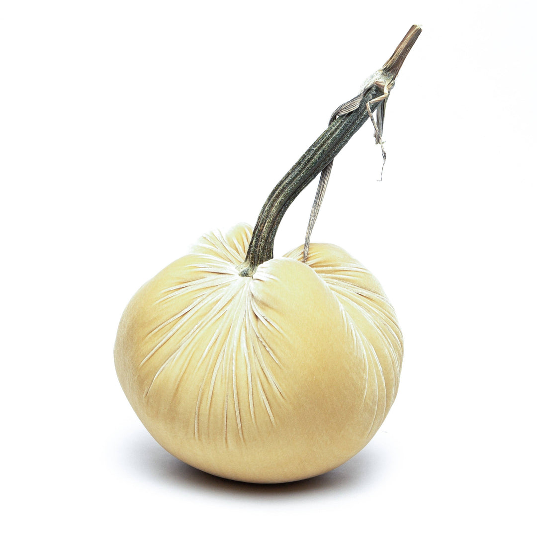 Hot Skwash Husk Silk Velvet Pumpkin