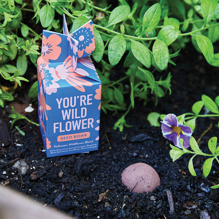 Seed Bomb : Well Being Boost