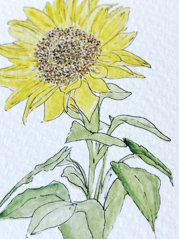 Kansas State Flower Map - ART PRINT  : Watercolor / 8" x 10"