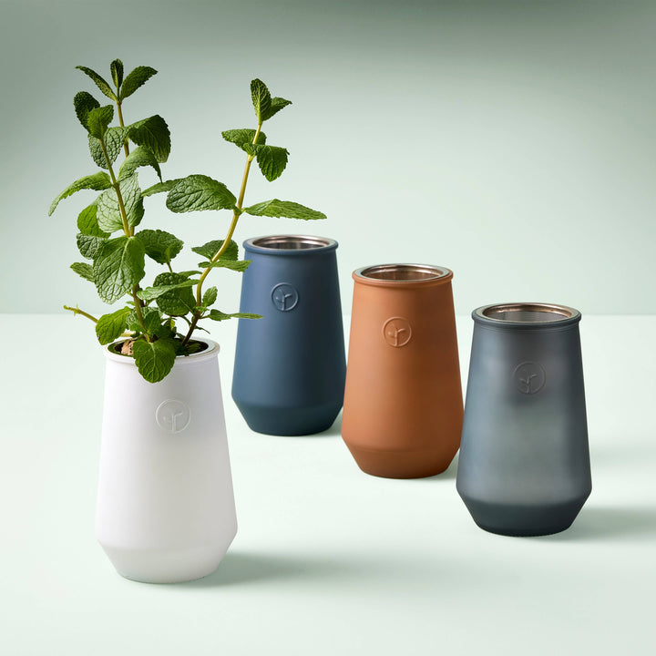 Tapered Tumbler: Eucalyptus