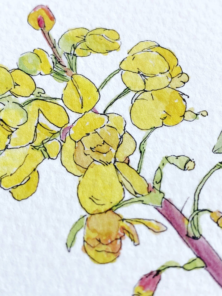 Oregon State Flower Map - ART PRINT : Watercolor / 8" x 10"