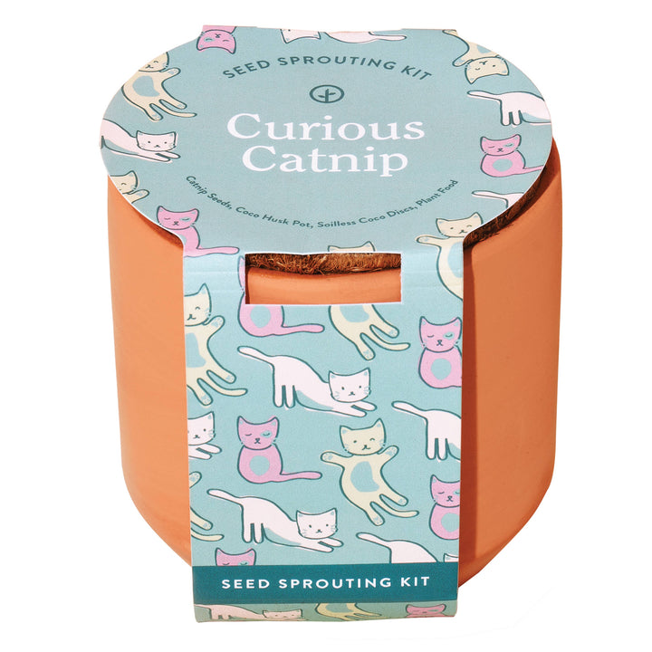 Tiny Terracotta Pet Grow Kits: Curious Catnip