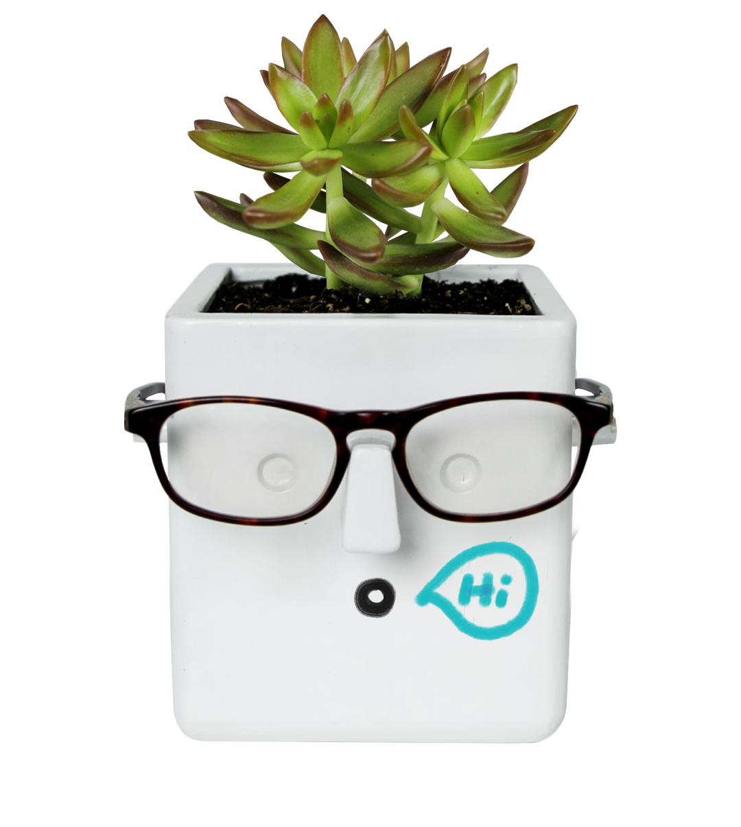 Face Plant Planter for your Plant and Glasses