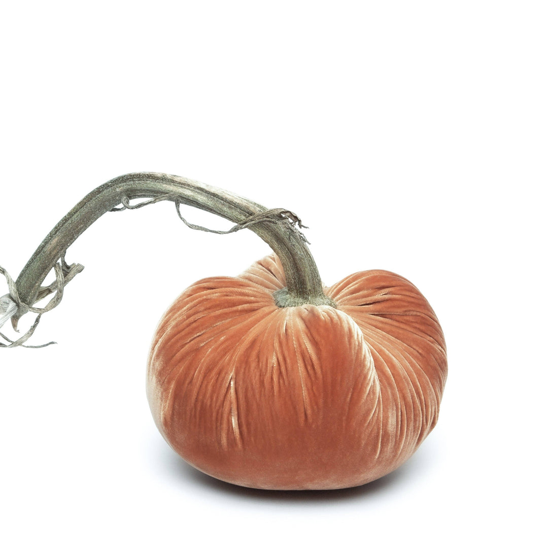 Hot Skwash Spice Silk Velvet Pumpkin