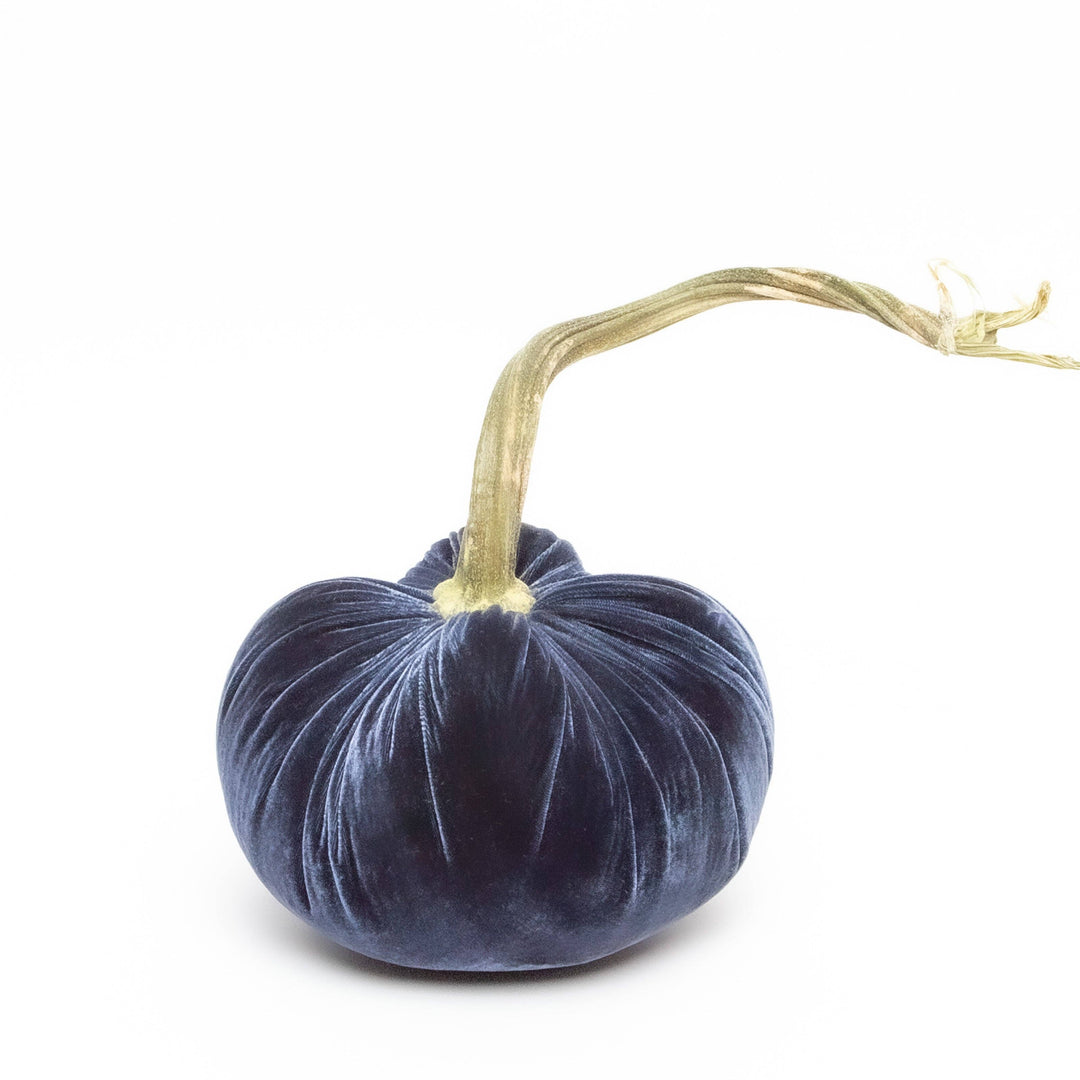 Hot Skwash Sapphire Silk Velvet Pumpkin