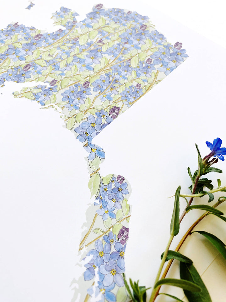 Alaska State Flower Map - ART PRINT : Watercolor / 8" x 10"