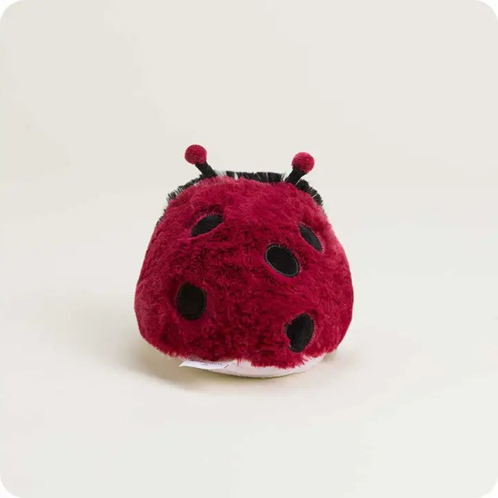 Ladybug Warmies Junior