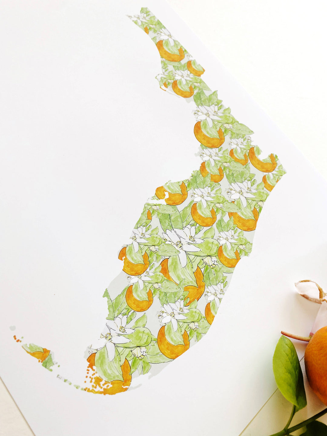 Florida State Flower Map - ART PRINT  : Watercolor / 8" x 10"