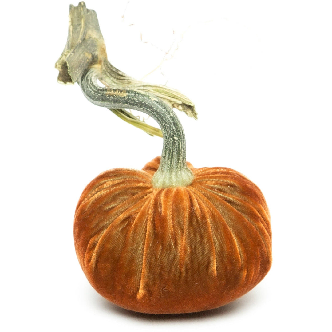 Hot Skwash Sandgreen Silk Velvet Pumpkin
