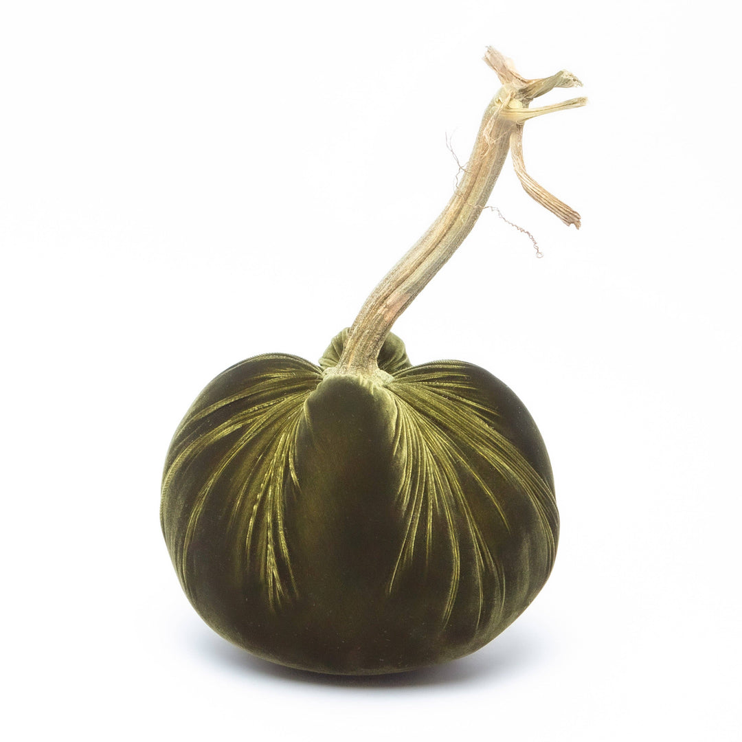 Hot Skwash Moss Silk Velvet Pumpkin