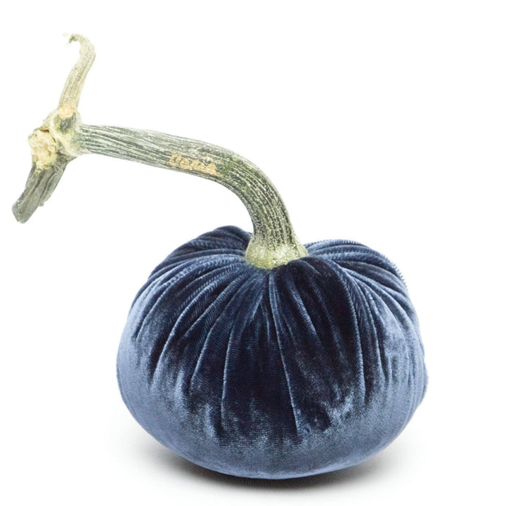 Hot Skwash Sapphire Silk Velvet Pumpkin