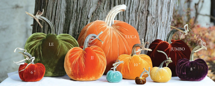 Hot Skwash Moss Silk Velvet Pumpkin