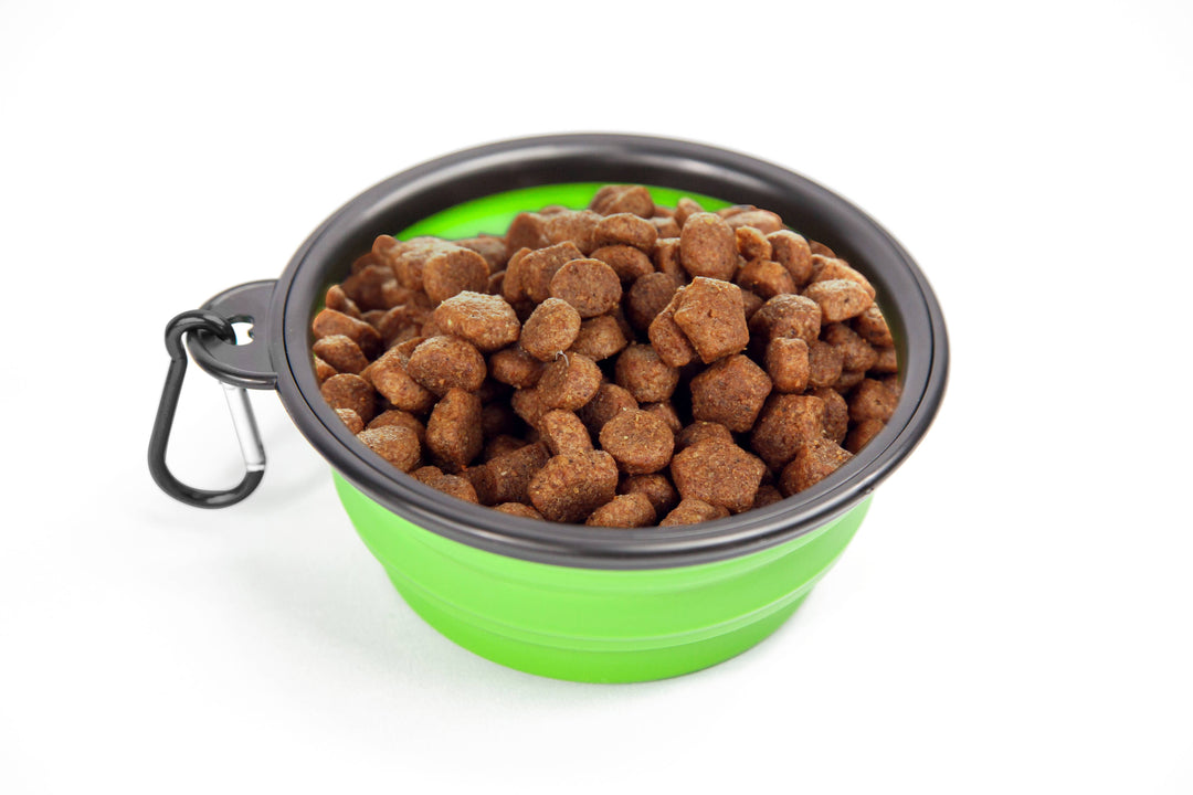 Pupware Collapsible Doggie Dish
