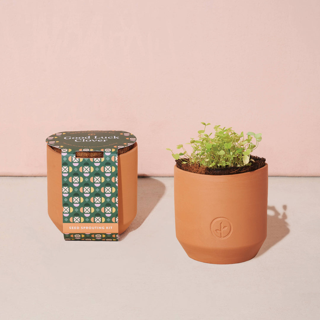 Tiny Terracotta Grow Kits: Thank You Daisy