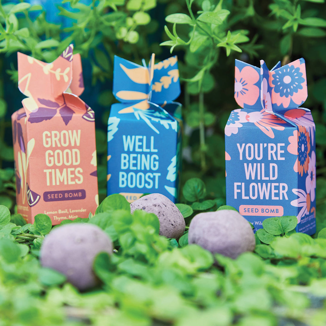 Seed Bomb : Well Being Boost