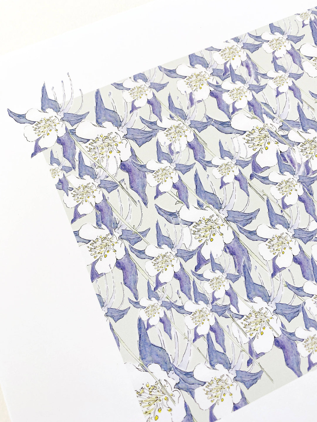 Colorado State Flower Map - ART PRINT  : Watercolor / 8" x 10"