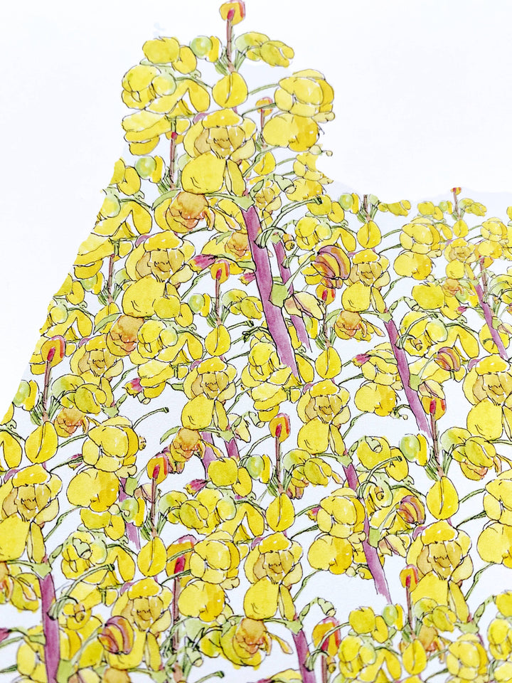 Oregon State Flower Map - ART PRINT : Watercolor / 8" x 10"