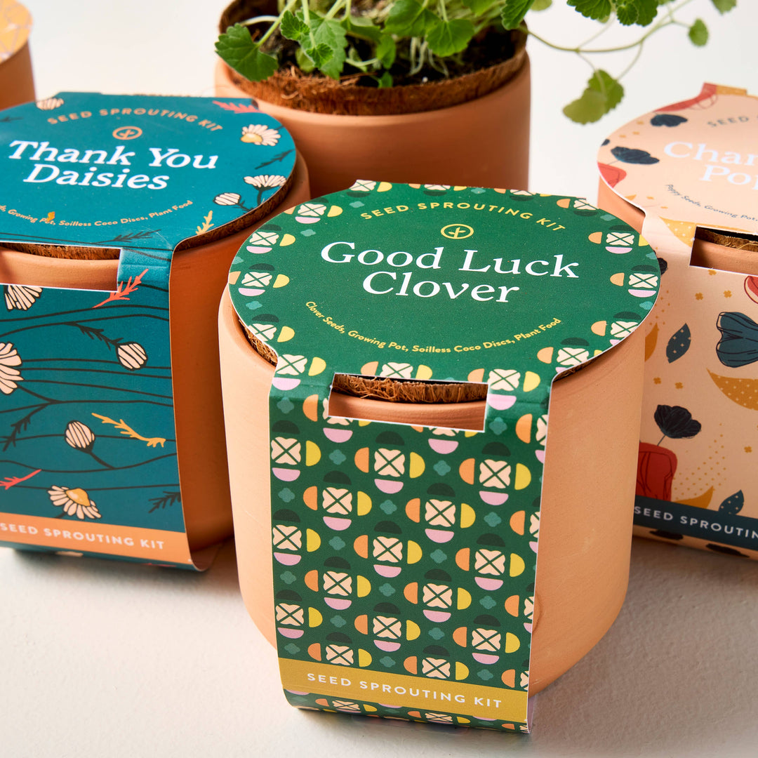 Tiny Terracotta Grow Kits: Thank You Daisy