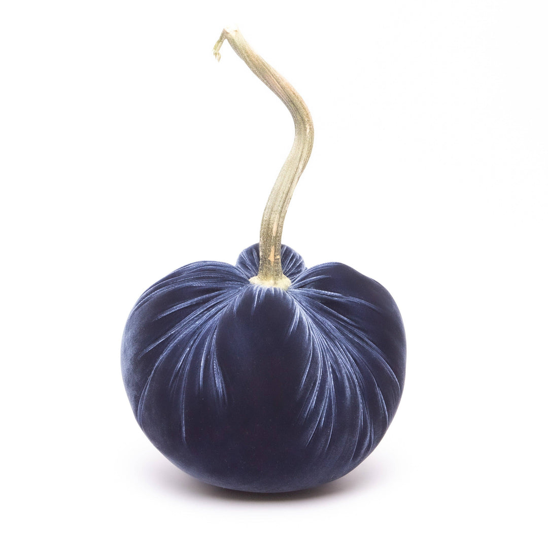 Hot Skwash Sapphire Silk Velvet Pumpkin