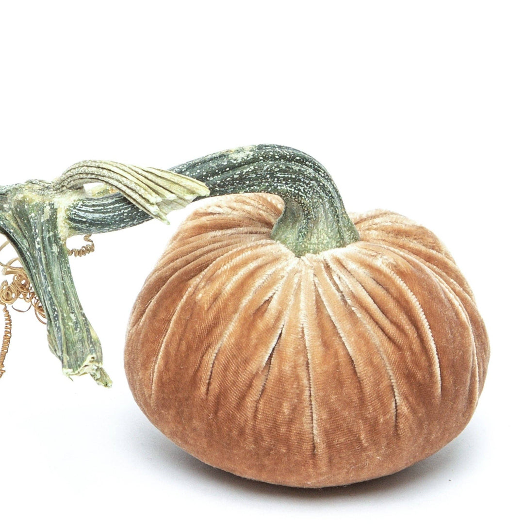 Hot Skwash Latte Silk Velvet Pumpkin