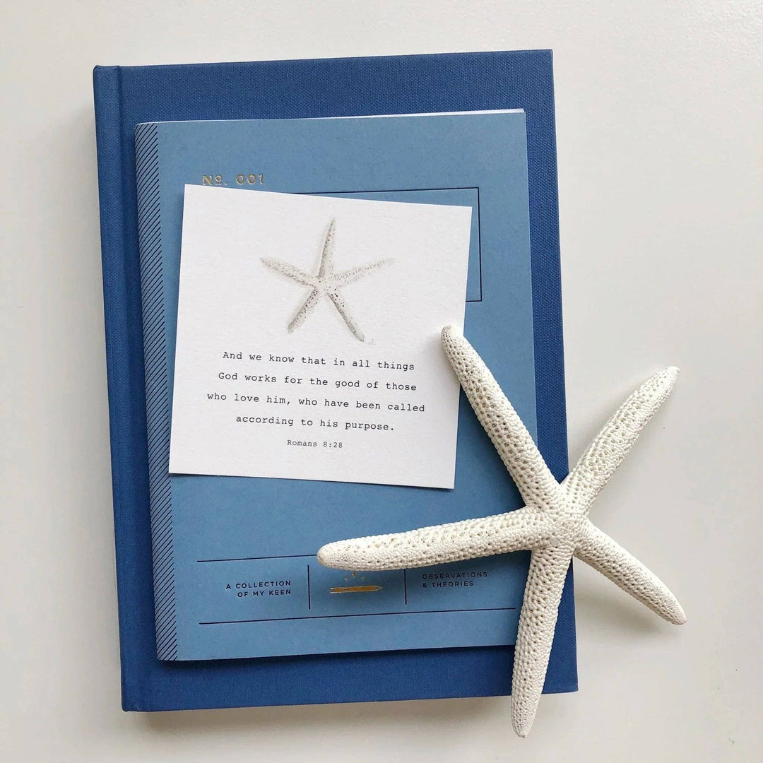 Emily Lex- Truth for Today Cards for Kids