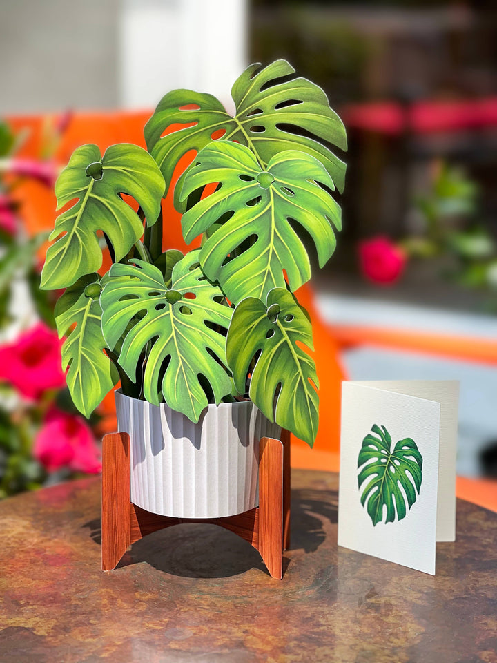 Monstera Plant Pop-up Greeting Card - Pine & Moss