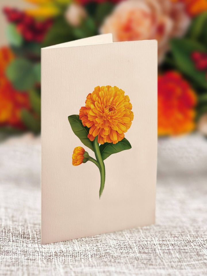 Mini Pumpkin Spice Pop-up Greeting Cards