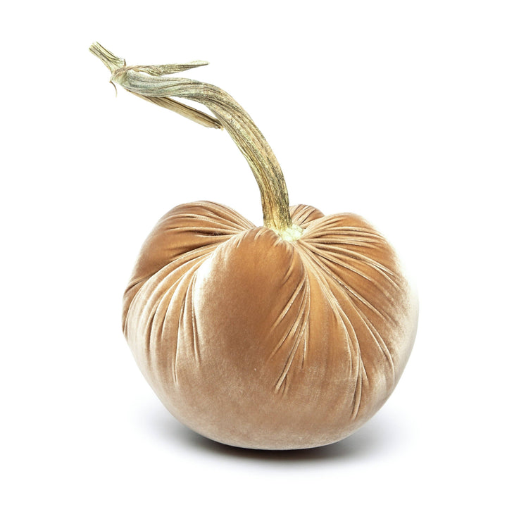 Hot Skwash Latte Silk Velvet Pumpkin