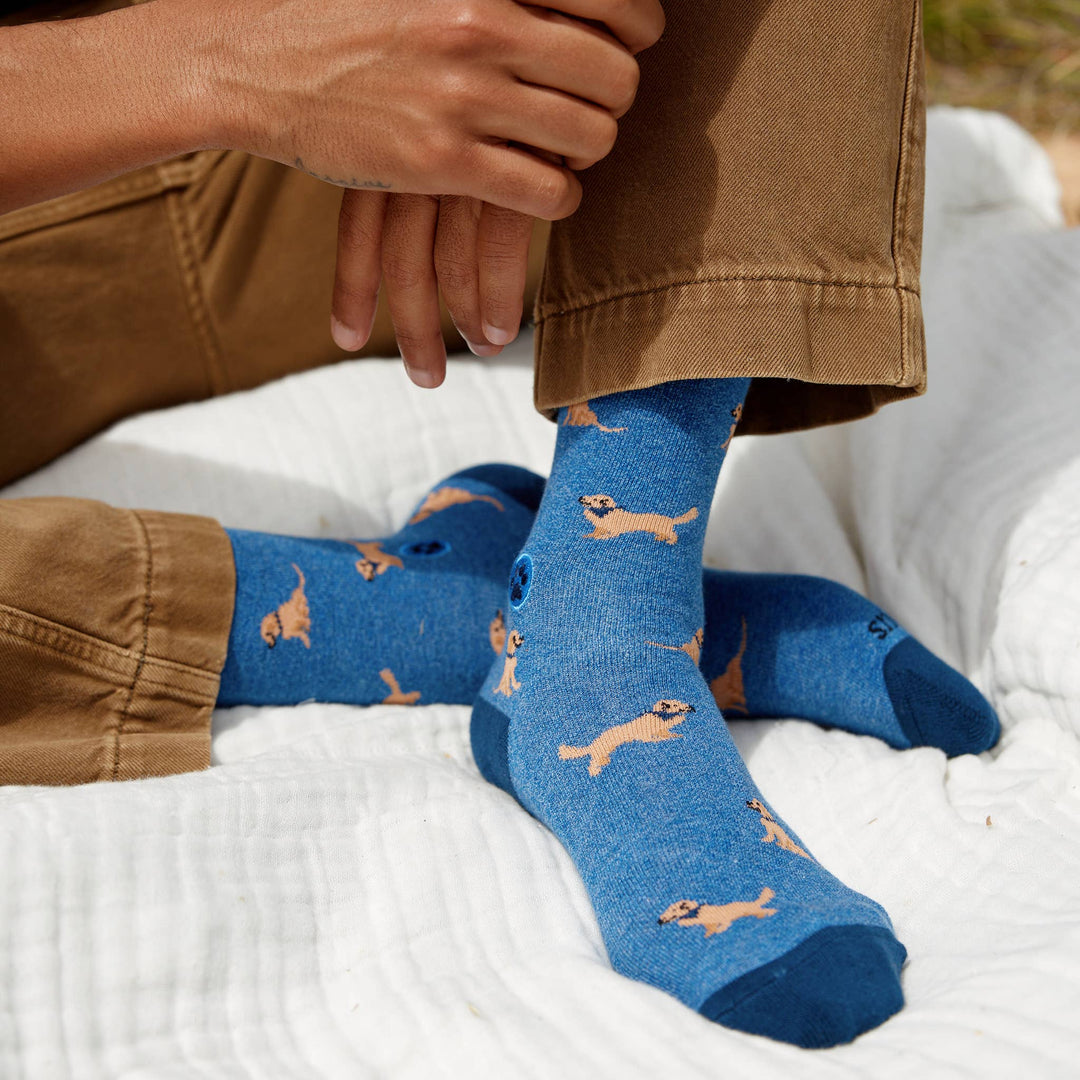 Conscious Step:Socks that Save Dogs (Blue Golden Retrievers): Small