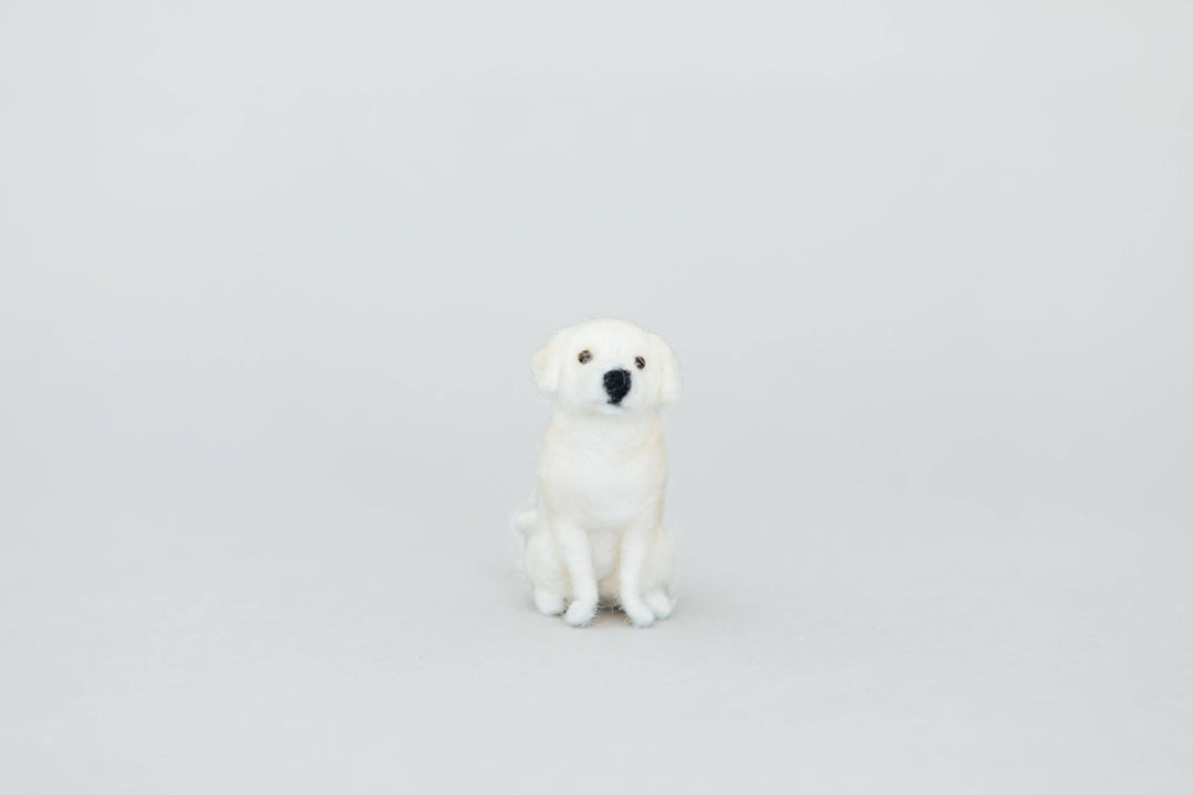 Little Felted Friends: Labrador Retriever Needle-Felting Kit
