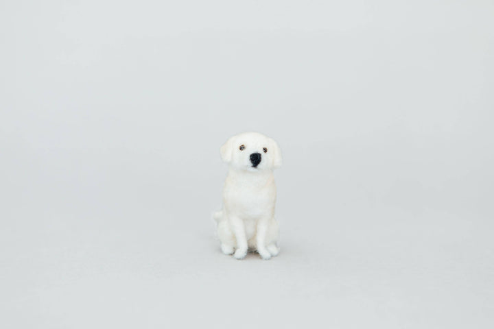 Little Felted Friends: Labrador Retriever Needle-Felting Kit