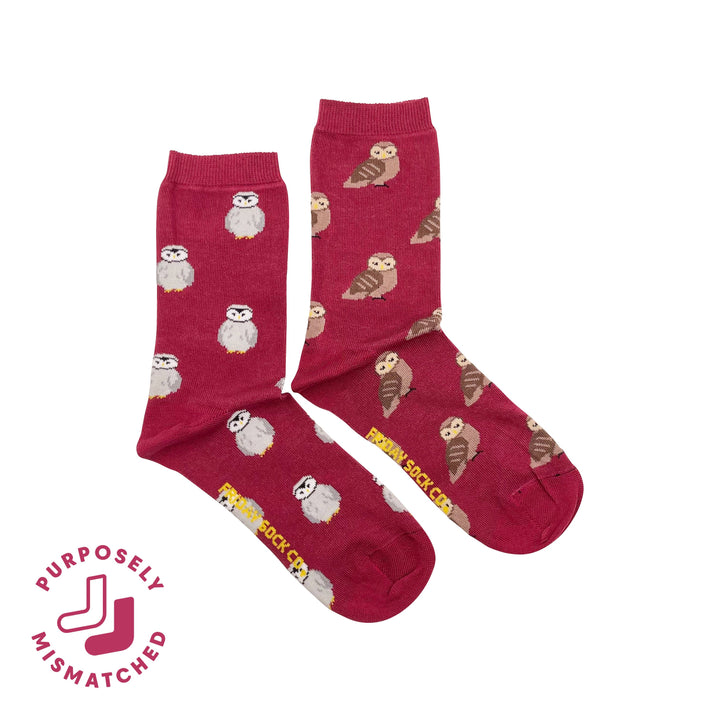 Women's Owl Socks: Women’s 5 – 10