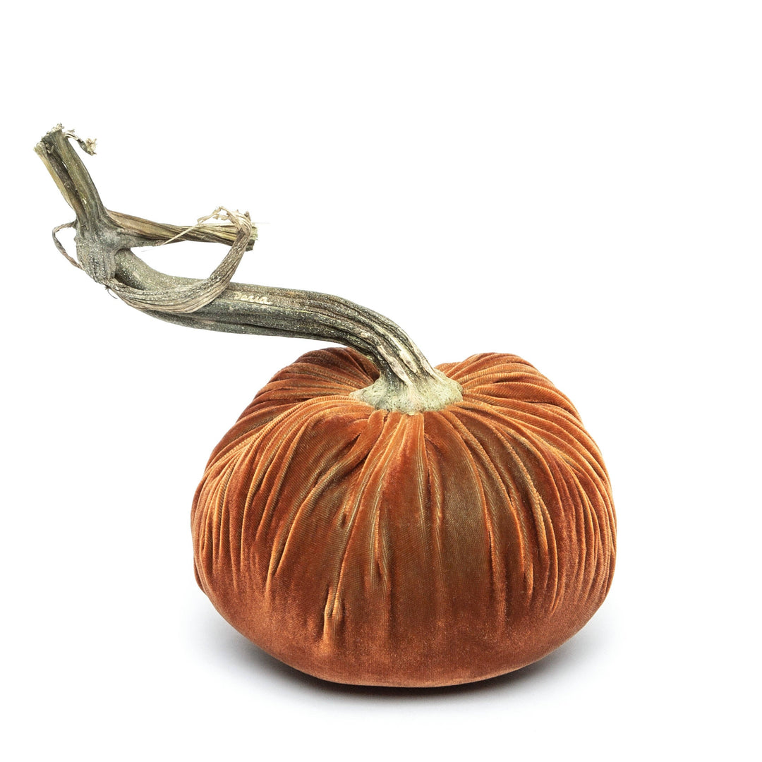 Hot Skwash Sandgreen Silk Velvet Pumpkin