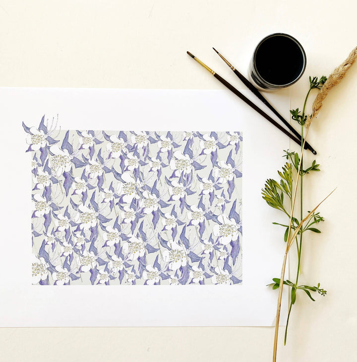 Colorado State Flower Map - ART PRINT  : Watercolor / 8" x 10"