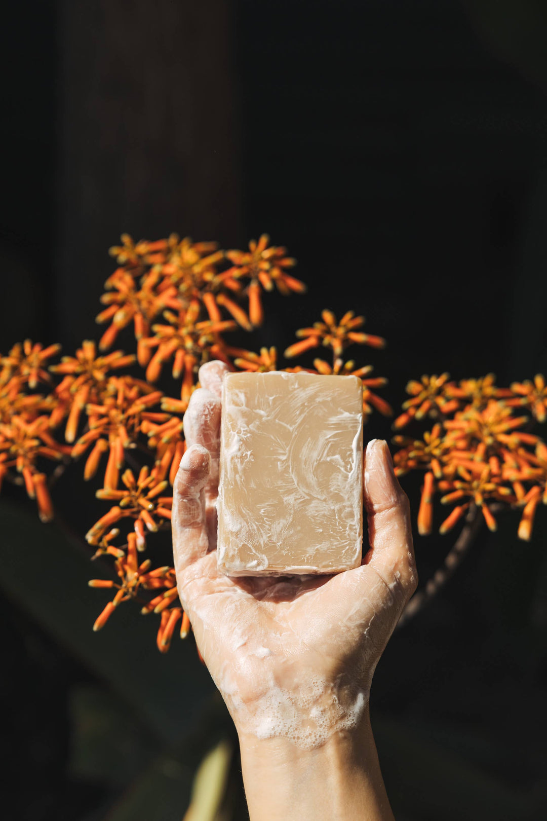Broken Top Brands- Sea Salt Surf Bar Soap