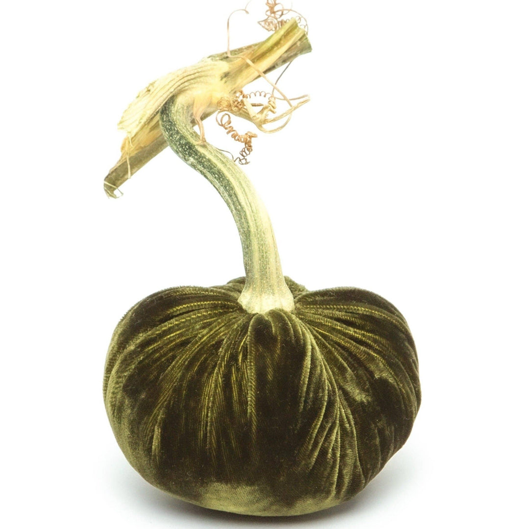 Hot Skwash Moss Silk Velvet Pumpkin