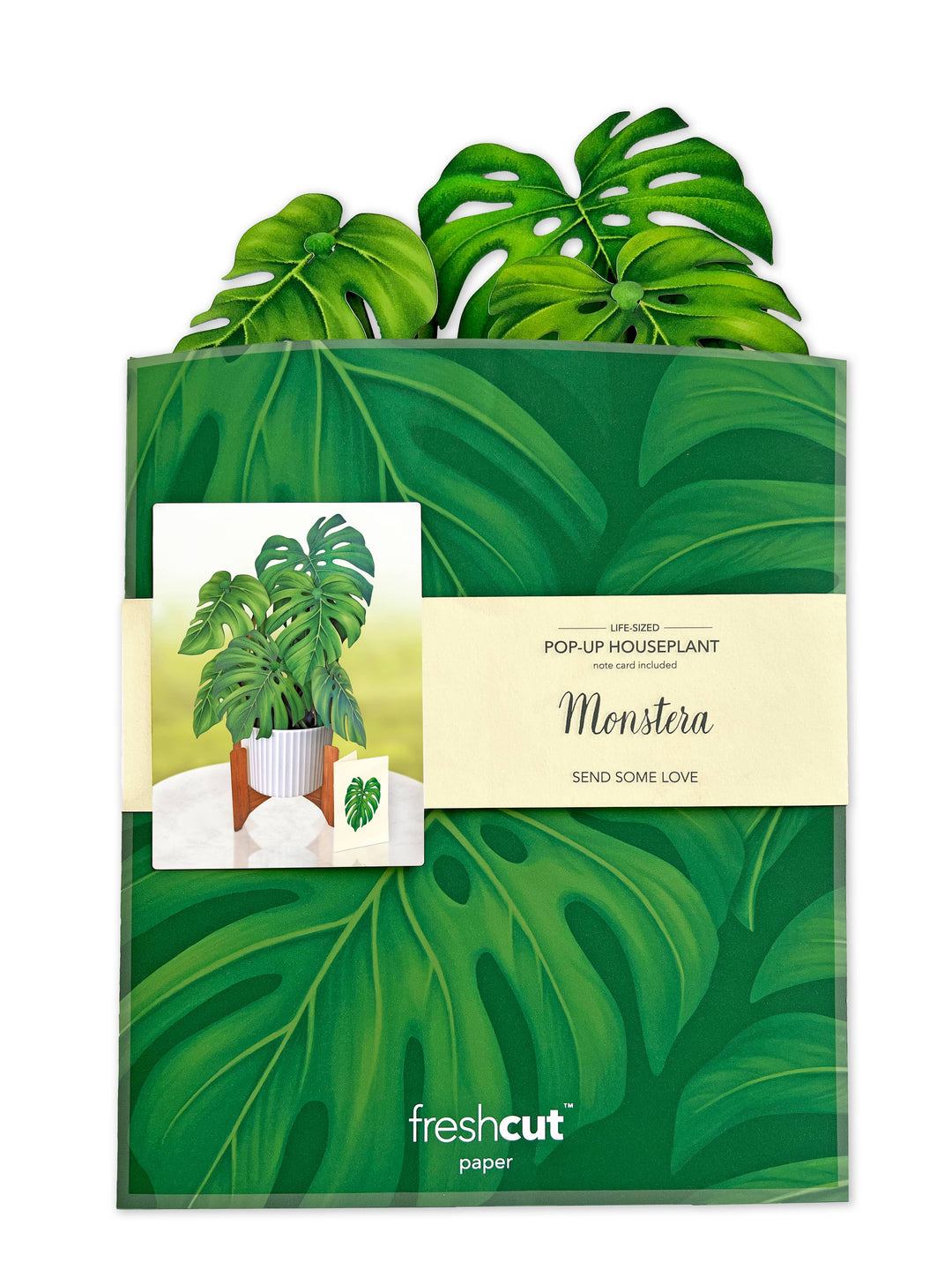 Monstera Plant Pop-up Greeting Card - Pine & Moss