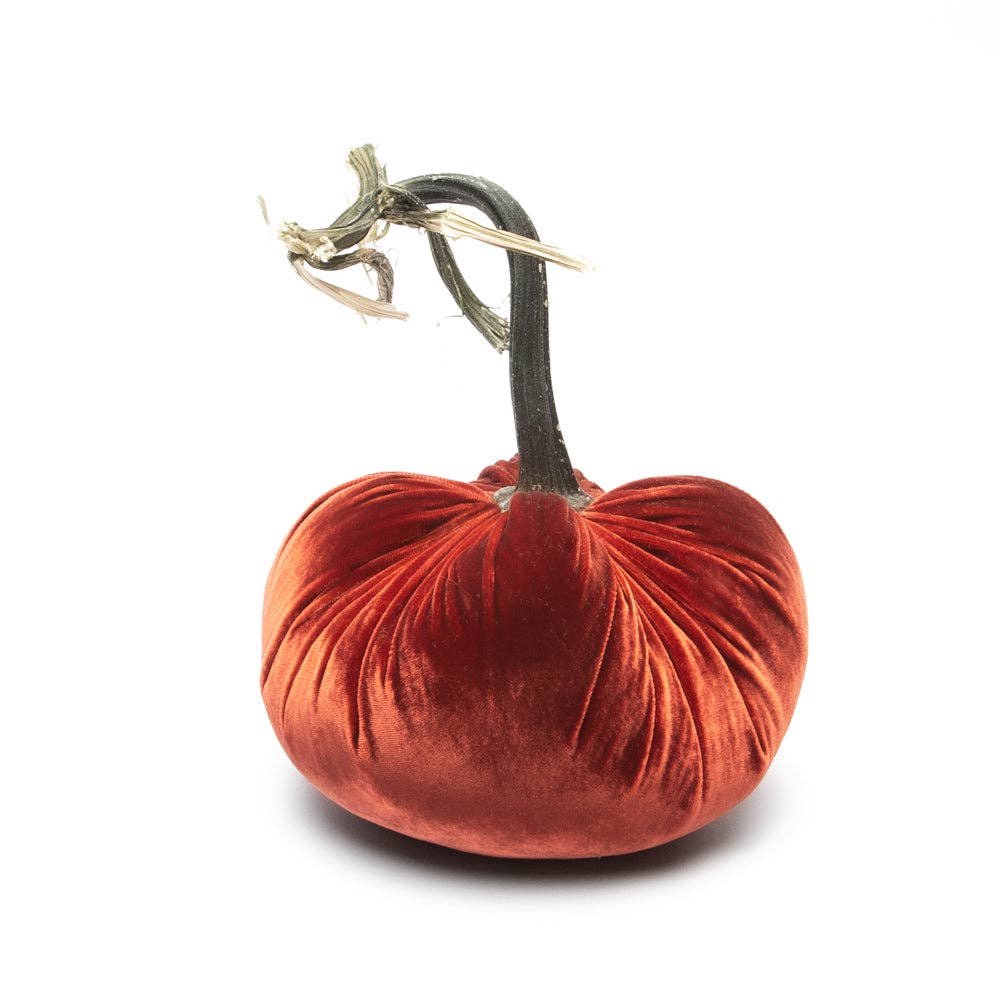 Hot Skwash Rust Silk Velvet Pumpkin
