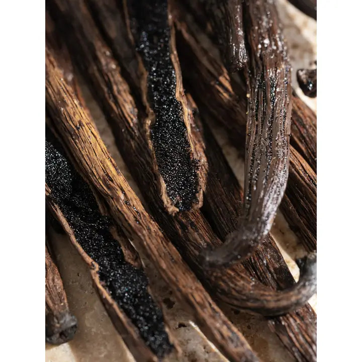 Pura Home Diffuser Scent Refill- Homebody
