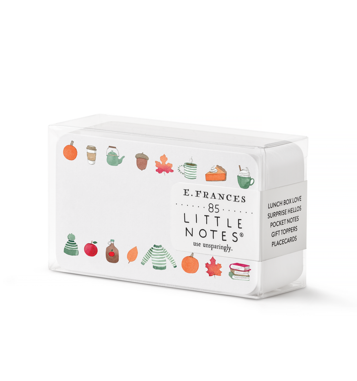 Crisp & Cozy Little Notes Mini Notecards